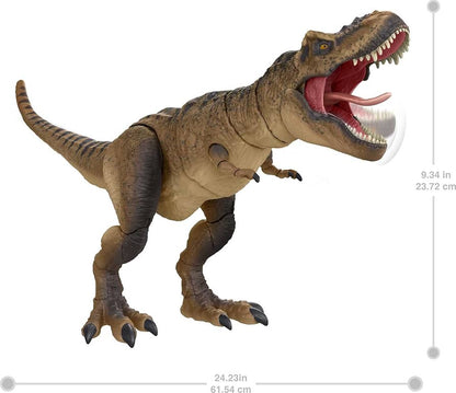 HAMMOND COLLECTION TYRANNOSAURUS REX