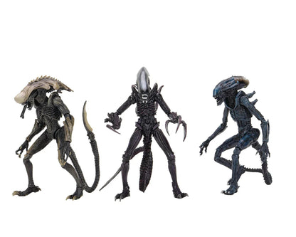 ALIEN VS PREDATOR CHRYSALIS ALIEN MOVIE DECO