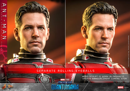 ANT-MAN (QUANTUMANIA) SIXTH SCALE (HT)