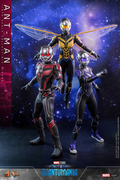 ANT-MAN (QUANTUMANIA) SIXTH SCALE (HT)