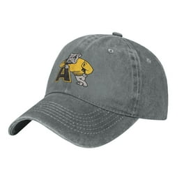 BASEBALL CAP WITCHER GRAY LOGO SLAYS