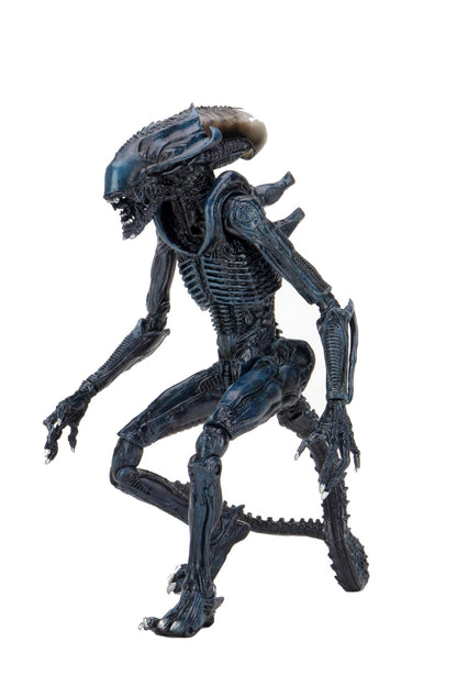ALIEN VS PREDATOR ARACHNOID ALIEN MOVIE DECO