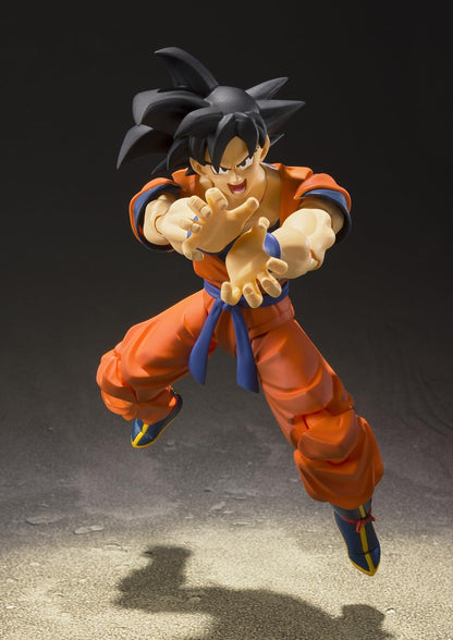 DRAGON BALL Z SON GOKU A SAIYAN RAISED ON EARTH