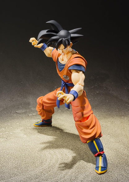 DRAGON BALL Z SON GOKU A SAIYAN RAISED ON EARTH
