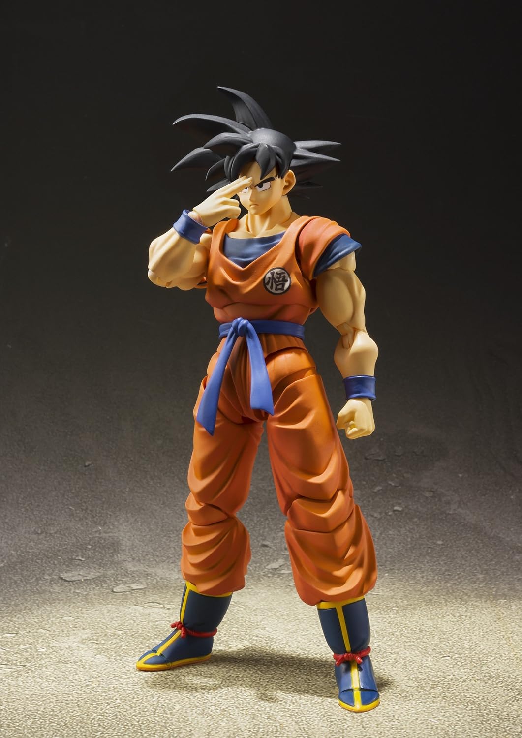 DRAGON BALL Z SON GOKU A SAIYAN RAISED ON EARTH