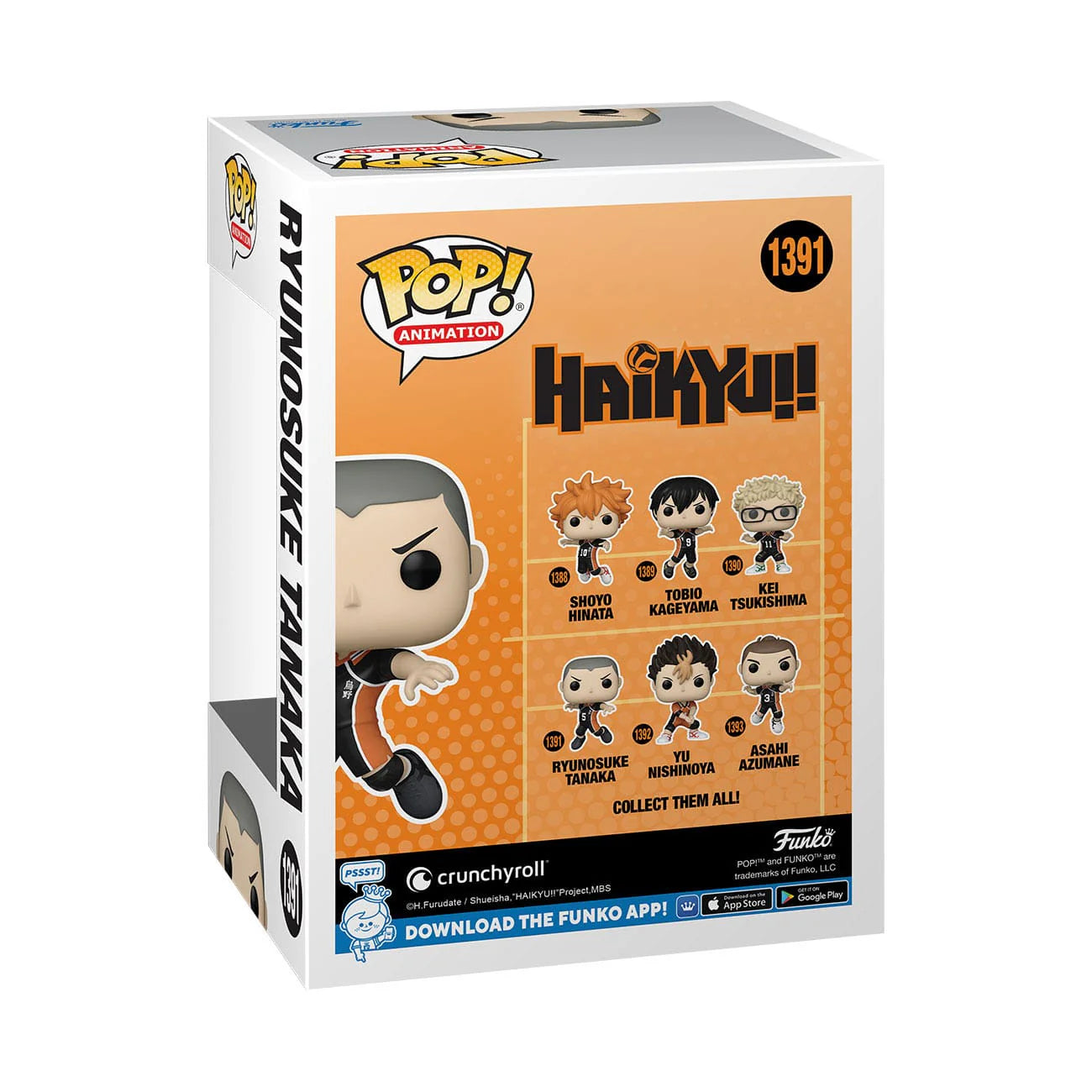 HAIKYU RYUNOSUKE TANAKA 1391