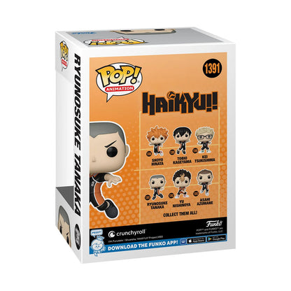 HAIKYU RYUNOSUKE TANAKA 1391