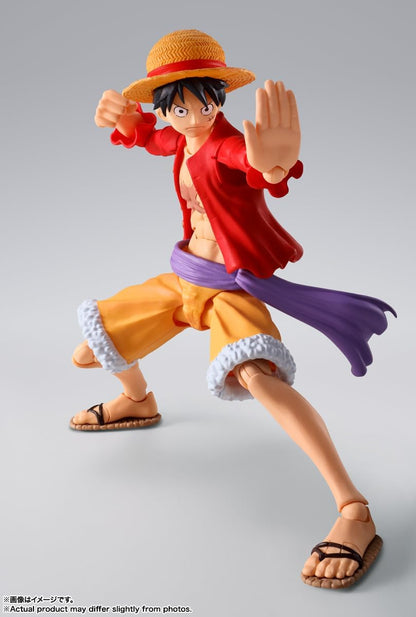 SH MONKEY D LUFFY