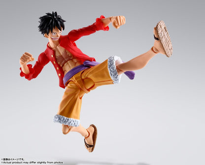 SH MONKEY D LUFFY