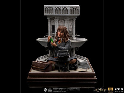 HERMIONE GRANGER POLYJUICE DELUXE