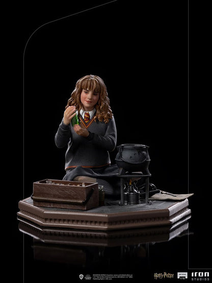 Hermione Granger (Harry Potter)