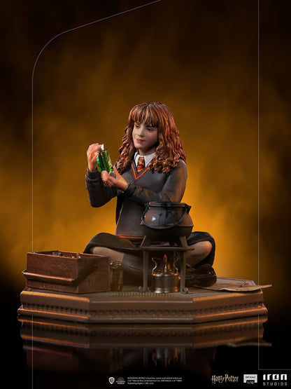 Hermione Granger (Harry Potter)