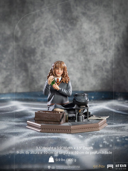 Hermione Granger (Harry Potter)