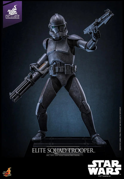 SIXTH SCALE FIGURE BY HOT TOYS ELITE SQUAD TROOPER