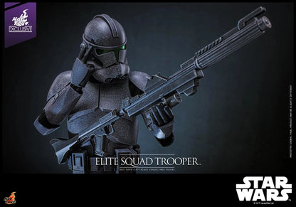 SIXTH SCALE FIGURE BY HOT TOYS ELITE SQUAD TROOPER