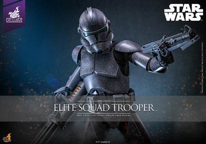 SIXTH SCALE FIGURE BY HOT TOYS ELITE SQUAD TROOPER