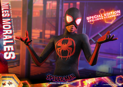 HOTTOYS MARVEL MILES MORALES 1/6