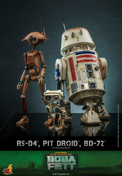 STAR WARS THE BOOK OF BOBA FEET  R5 D4 PIT DROID AND BD 72