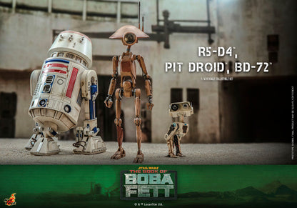 STAR WARS THE BOOK OF BOBA FEET  R5 D4 PIT DROID AND BD 72